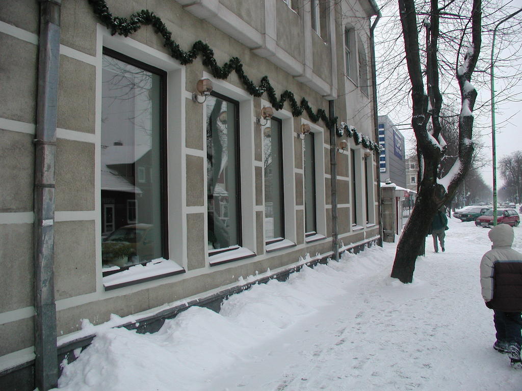 Deims Hotel Šilutė エクステリア 写真